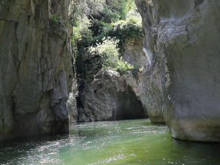 Gǎng Yì