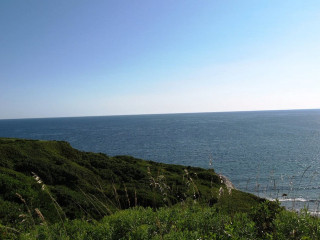 Qīng Zhú