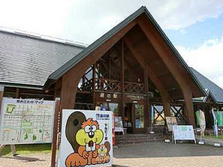 Dào の Yì ハウスヤルビ Nài Jǐng Jiāng Chī Chá Mù Tù みみずく
