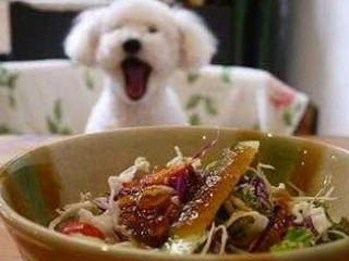 Yáo Héng カフェ