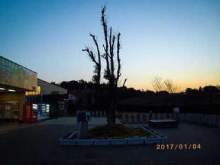 Yìn Nán サービスエリア Xià り Xiàn