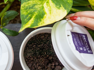 The Coffee Bean Tea Leaf (aeon Kota Bharu)