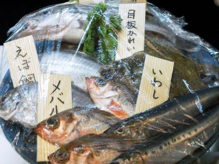 ぎんます