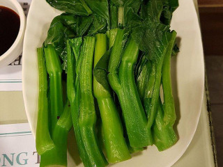 Dim Dim Sum 點點心