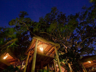 Tree Tops Signature Dining