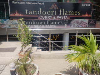 Tandoori Flames