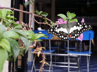 Aroma House