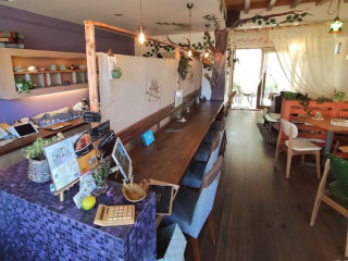 Holy Holy Familiar Tree Cafe