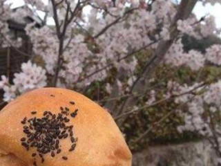 あいゆうわいえ