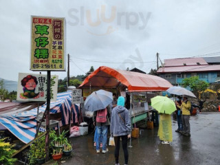 Jiē Zǐ Wěi Cǎo Zǐ Guǒ