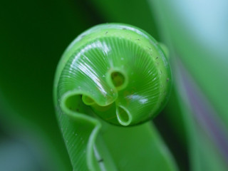 Yuè Dú Tiān Lài Cafe