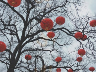 Lǎo Dōng Jiāng Mǐ Fěn Diàn