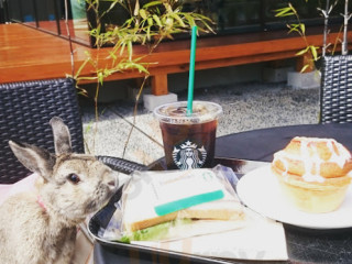 スターバックスコーヒー Jiè フェニックス Tōng り Lì Jīng の Dù Diàn