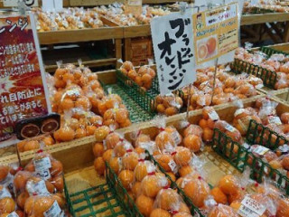 さいさいきて Wū