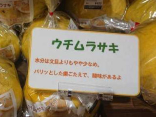 Dào の Yì かつらぎ Xī