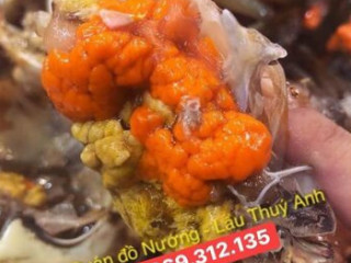 Quán Nướng Lẩu Thúy Anh