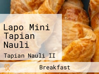 Lapo Mini Tapian Nauli