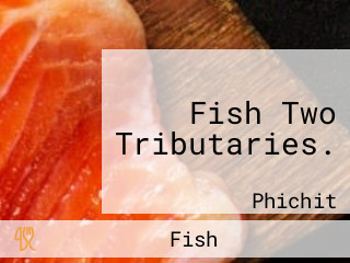 Fish Two Tributaries.