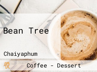 Bean Tree เพชรบูรณ์