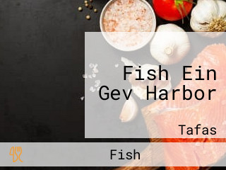 Fish Ein Gev Harbor