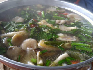 มุมอร่อยไก่ย่างต้นตำรับภูเรือ